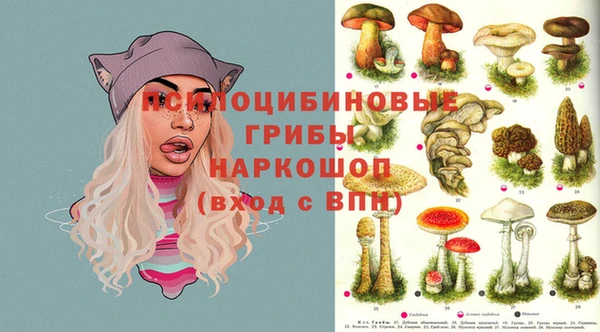 не бодяженный Осташков