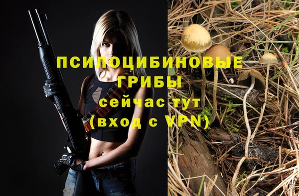 не бодяженный Осташков