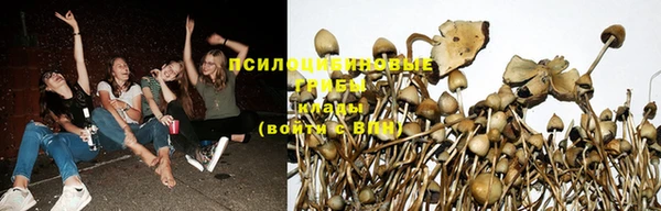 не бодяженный Осташков