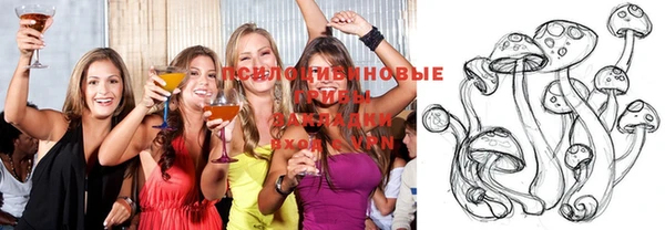 ECSTASY Болотное