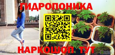 индика Гусиноозёрск