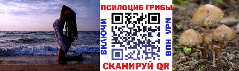 Галлюциногенные грибы мицелий где продают наркотики Краснокаменск