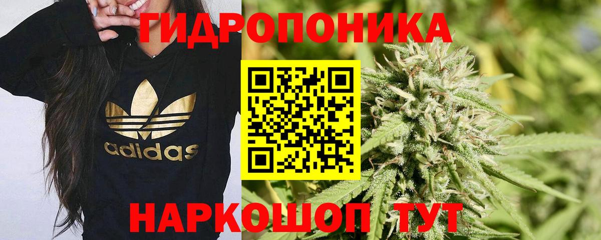 Марихуана сатива  Краснокаменск  Бошки Шишки Amnesia 